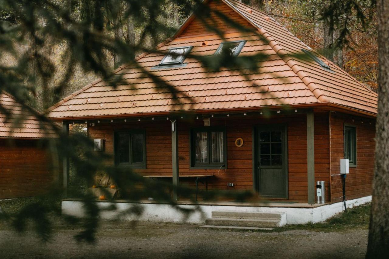 Tusnad Camping BaileTusnad Ngoại thất bức ảnh