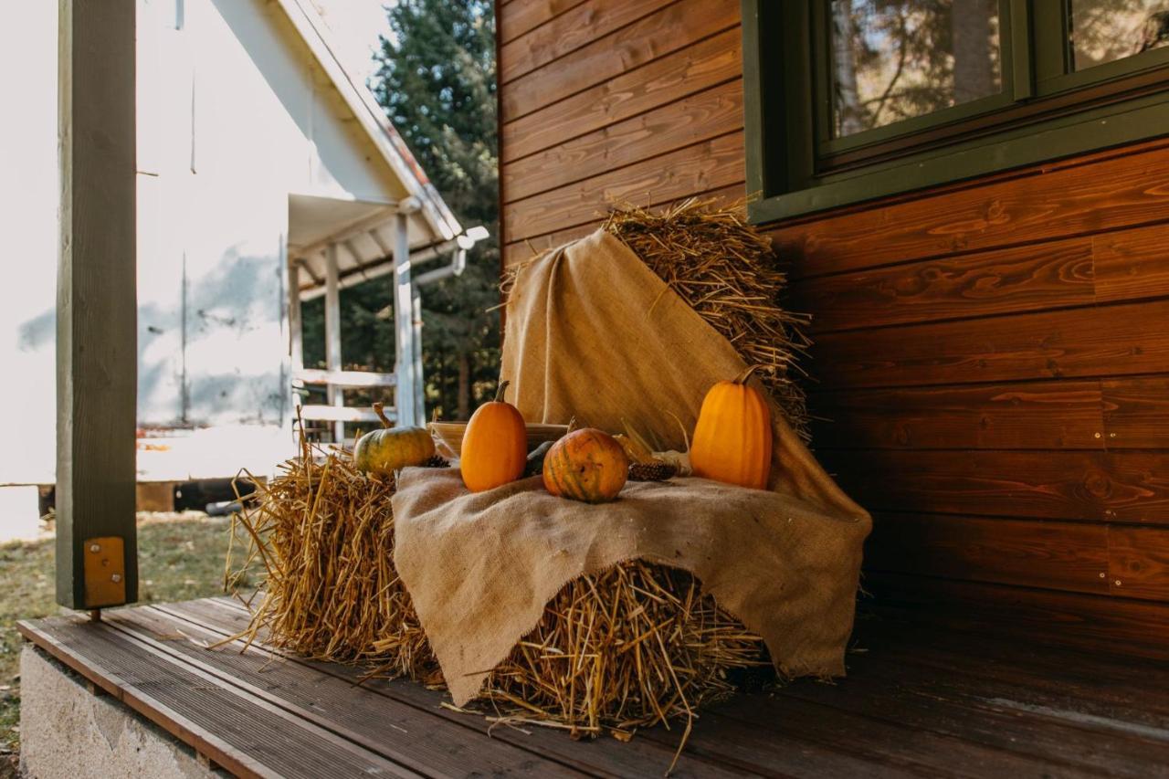 Tusnad Camping BaileTusnad Ngoại thất bức ảnh