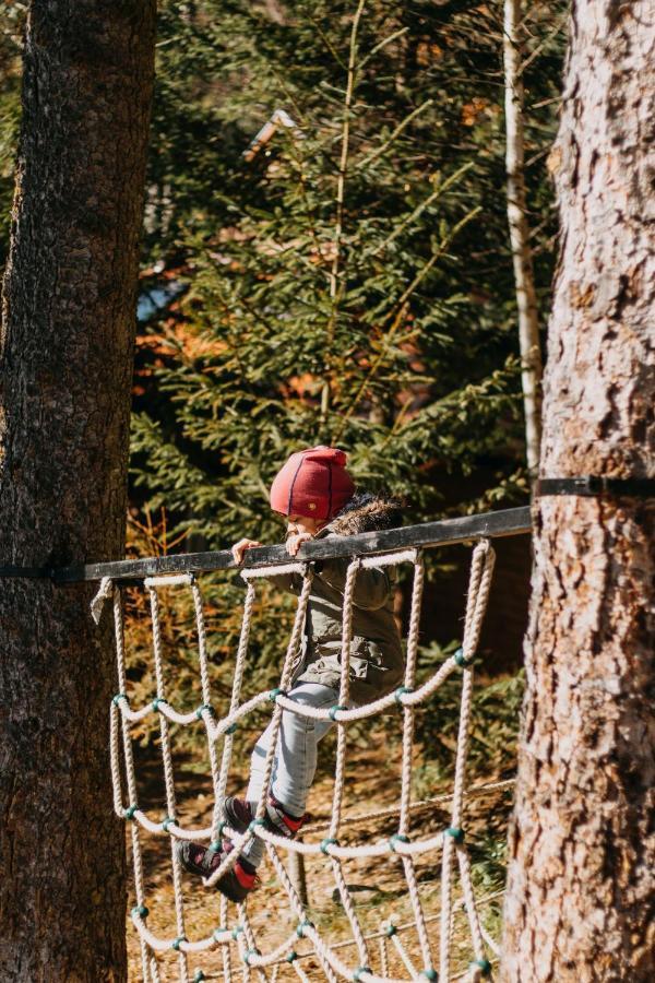 Tusnad Camping BaileTusnad Ngoại thất bức ảnh