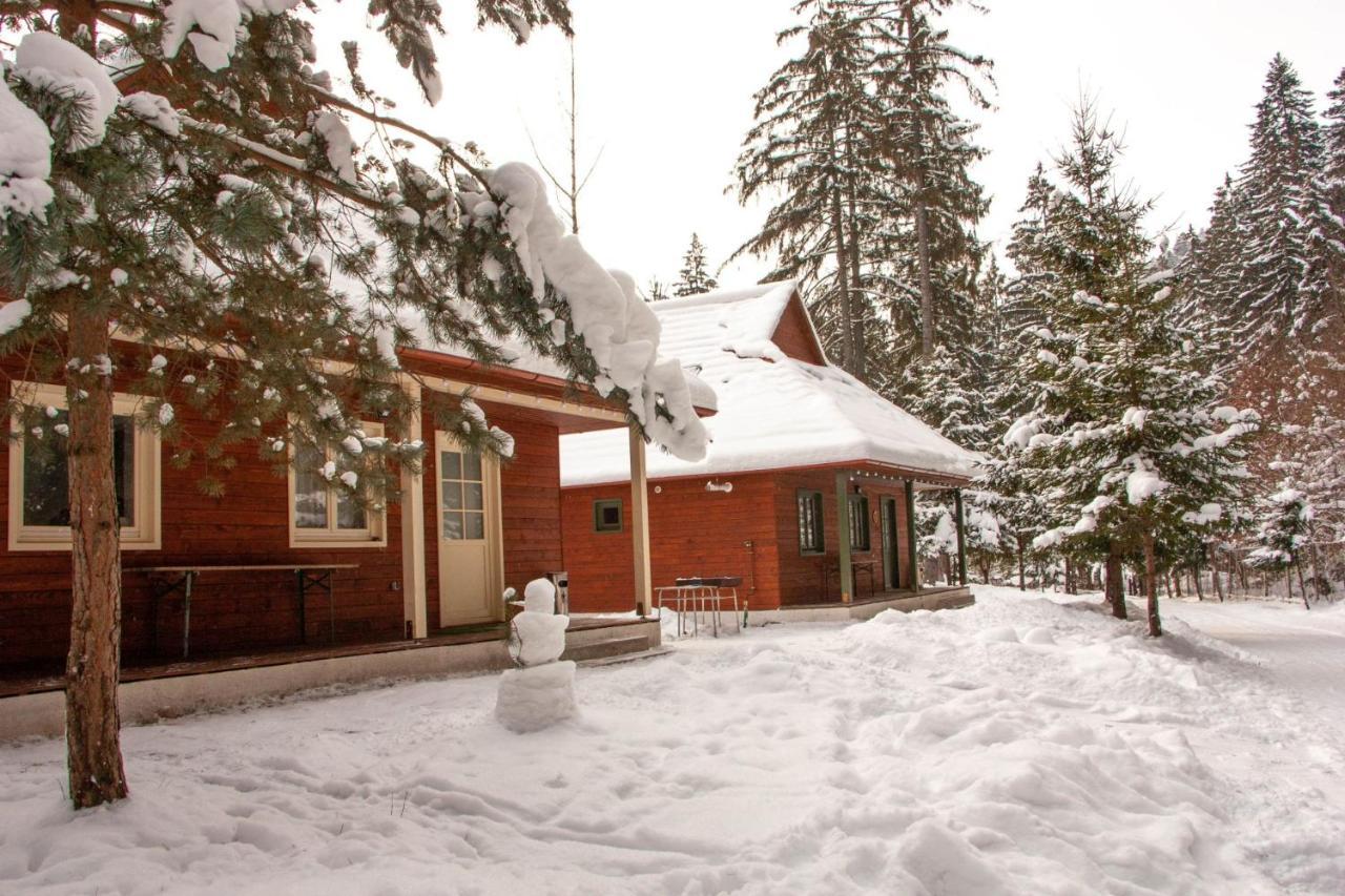 Tusnad Camping BaileTusnad Ngoại thất bức ảnh