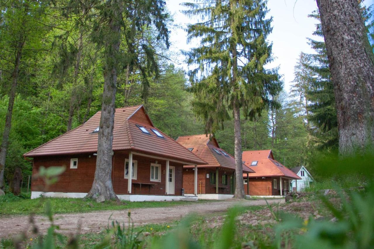 Tusnad Camping BaileTusnad Ngoại thất bức ảnh